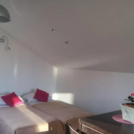 4491 Vodice