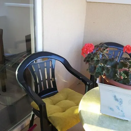 4491 Vodice